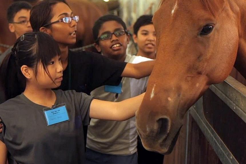 A group of 13-year-old students, guided by an instructor, petting a horse. Equal has worked with about 800 students, and hopes to bring in 400 more next year - double the usual yearly intake.