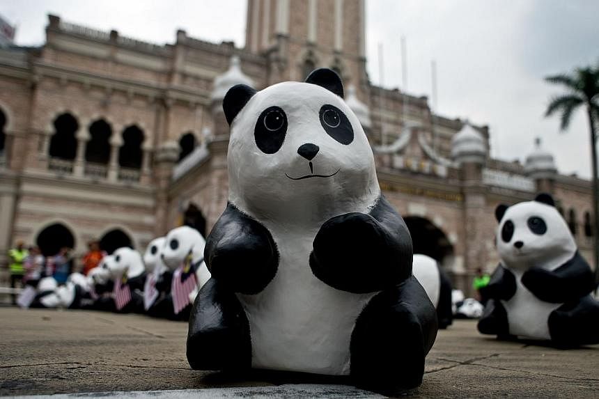 Some of the 1,600 papier-mache pandas are displayed at Independence Square in Kuala Lumpur on Dec 21, 2014, as part of their first appearance in the city. -- PHOTO: AFP