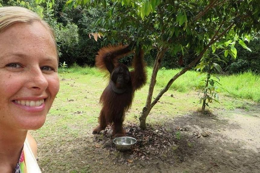A photo from Facebook is said to show American Stacey Addison at Tanjung Puting National Park in Borneo in August 2014, on her around the world trip before her arrest in Timor Leste on Sept 5.&nbsp;The United States welcomed Thursday the release of a