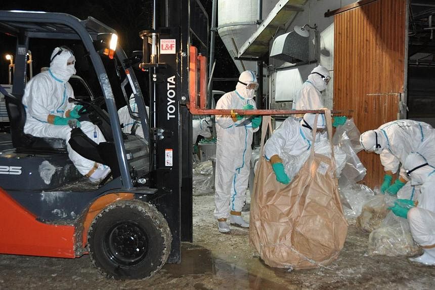 Japanese health officers removing slaughtered chickens at a poultry farm in Miyazaki, on Japan's southern island of Kyushu on Dec 29, 2014.&nbsp;Japan on Tuesday, Dec 30, ordered the slaughter of some 37,000 chickens as officials announced the third 