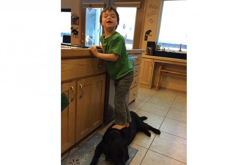 Facebook photos posted by Ms Sarah Palin showing her son, Trig, using the family dog as a step stool (above) unleashed online fury on Friday . -- PHOTO: FACEBOOK