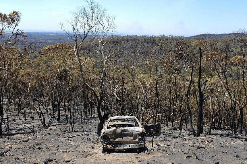 The aftermath of a bushfire in the area near One Tree Hill in the Adelaide Hills on Jan 5, 2015. -- PHOTO: AFP