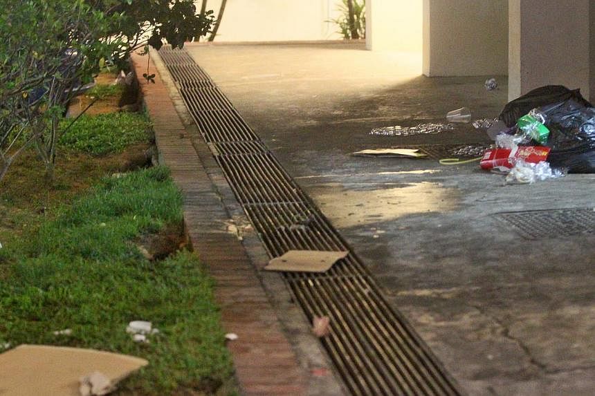 Rat burrows and exposed trash.&nbsp;-- PHOTO: SHIN MIN DAILY NEWS