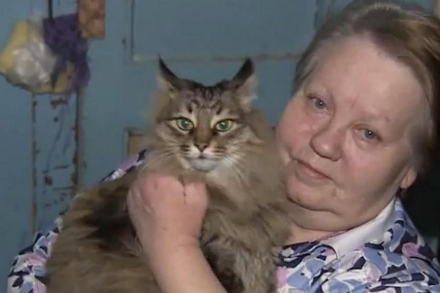 A screenshot of Masha from an online report, after the homeless cat&nbsp;won praise for keeping warm a baby boy abandoned in a chilly entrance-way in the town of Obninsk in Russia. Resident&nbsp;Nadezhda Makhovikova told REN TV she went out after hea