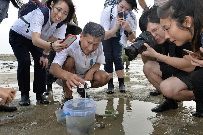Minister for the Environment and Water Resources Vivian Balakrishnan picking up a seahorse on Big Sister's Island, one of the two islands that make up Sisters' Islands, yesterday. The seahorse is among the many creatures found along the island's coas