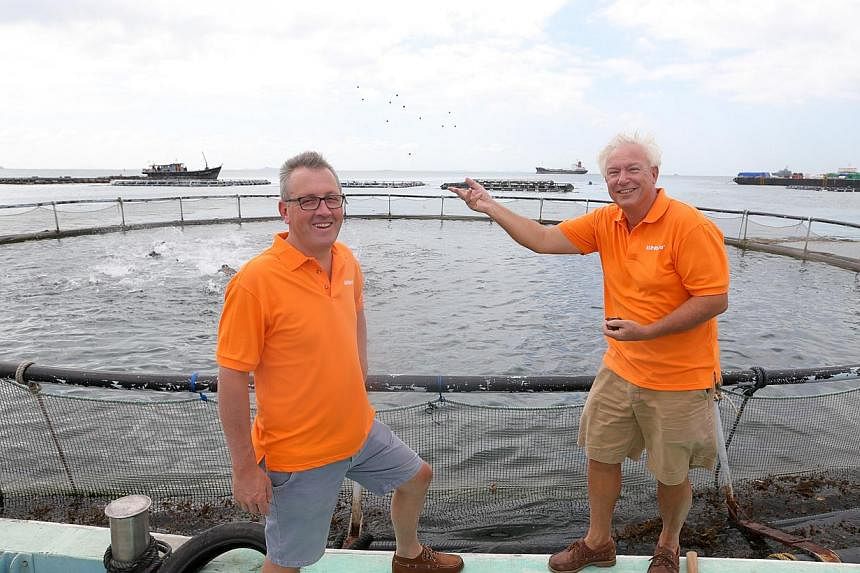 Barramundi Asia's managing director Joep Staarman (left) said that being in Singapore helped to propel and grow the fish farm business, while board member Hans den Bieman (right) said the Republic's reliability and efficiency as a logistics and busin
