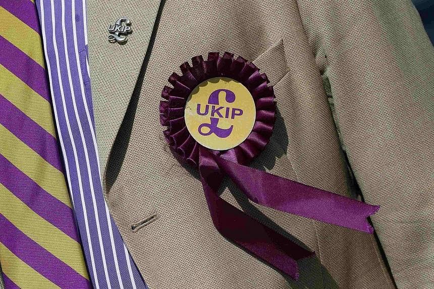 A supporter is seen wearing a United Kingdom Independence Party (UKIP) badge before meeting the leader of the party Nigel Farage, at a campaign event in South Ockendon, Essex in this May 23, 2014 file photo. -- PHOTO: REUTERS