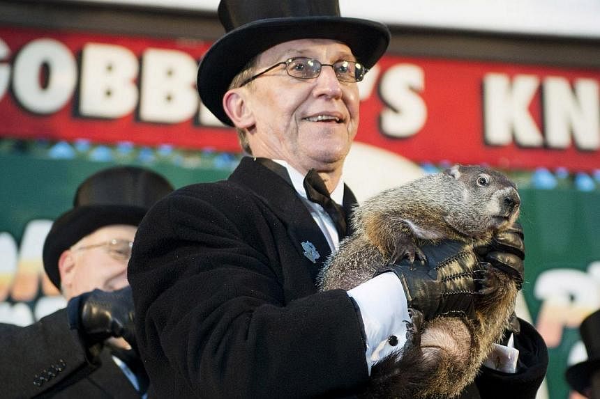 Punxsutawney Phil's handler Ron Ploucha introduces the groundhog to the crowd at Gobbler's Knob in Punxsutawney, Pennsylvania yesterday. Punxsutawney Phil famous for his weather predictions, saw his shadow after emerging from his burrow atop Gobbler'