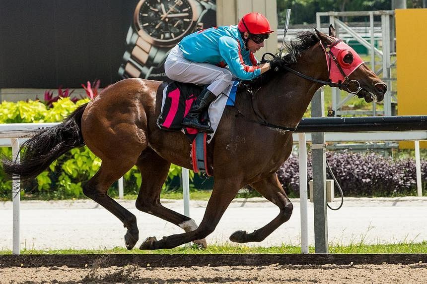 The CECF Singapore Cup will be run over 1,800m at the Singapore Turf Club's Kranji Racecourse and is organised by the China Horse Club (CHC). -- PHOTO: SINGAPORE TURF CLUB&nbsp;