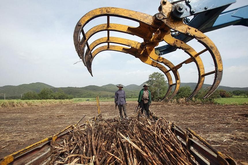 Thailand will experience its worst drought in more than a decade this year, the irrigation department said on Thursday, damaging crops in one of the world's biggest rice-exporting nations. -- PHOTO: BLOOMBERG