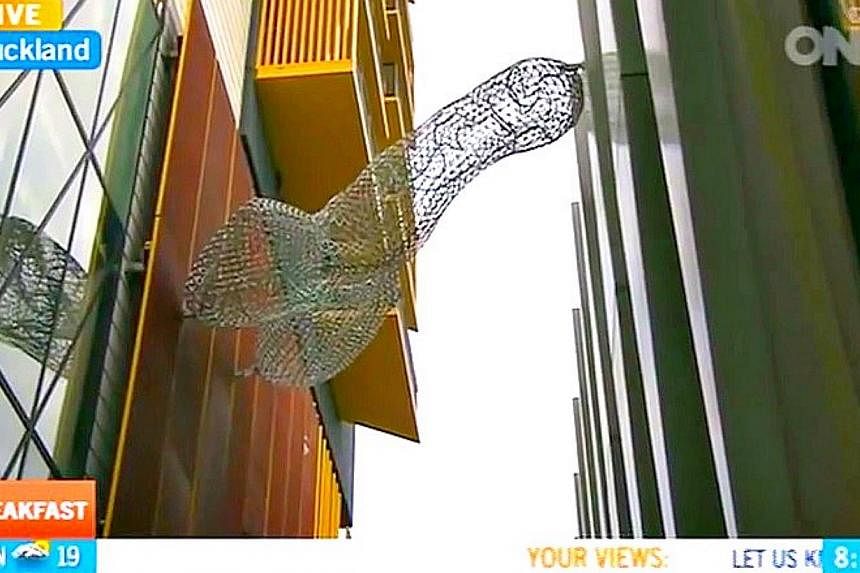 An NZ$200,000 (S$198,700) aluminium mesh artwork suspended over a walkway near a busy transport hub in New Zealand's city of Auckland has surprised the public, who have&nbsp;variously called it "masculine", "phallic", and a "penis", the New Zealand H