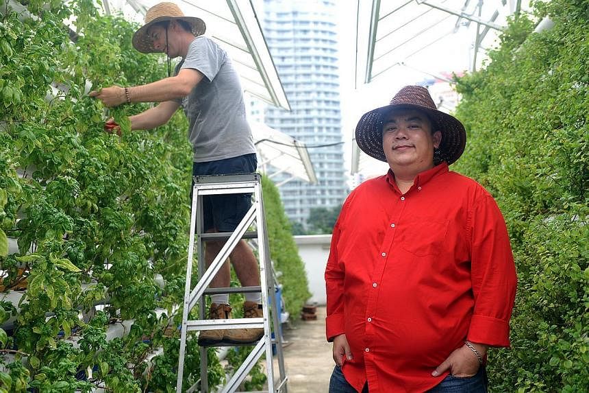 Mr Allan Lim (in red) co-founded founded Comcrop, which is at youth hub *Scape in Orchard Link and supplies herbs to hotels and eateries nearby. --&nbsp;ST PHOTO: TIFFANY GOH