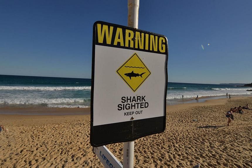 A shark warning sign on the beach in the northern New South Wales city of Newcastle on Jan 17, 2015. -- PHOTO: AFP