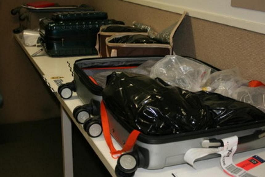 A suitcase filled with black bags used to smuggle prohibited fish into Adelaide Airport on Feb 2, 2015. -- PHOTO: AUSTRALIAN CUSTOMS AND BORDER PROTECTION SERVICE