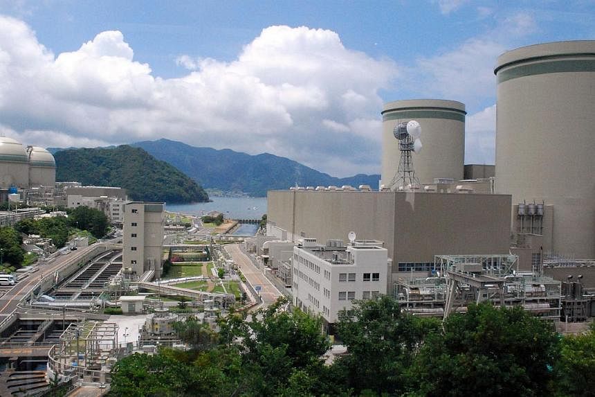 A June 27, 2013, photo shows Kansai Electric Power's Takahama nuclear plant in Fukui prefecture, western Japan. -- PHOTO: AFP&nbsp;