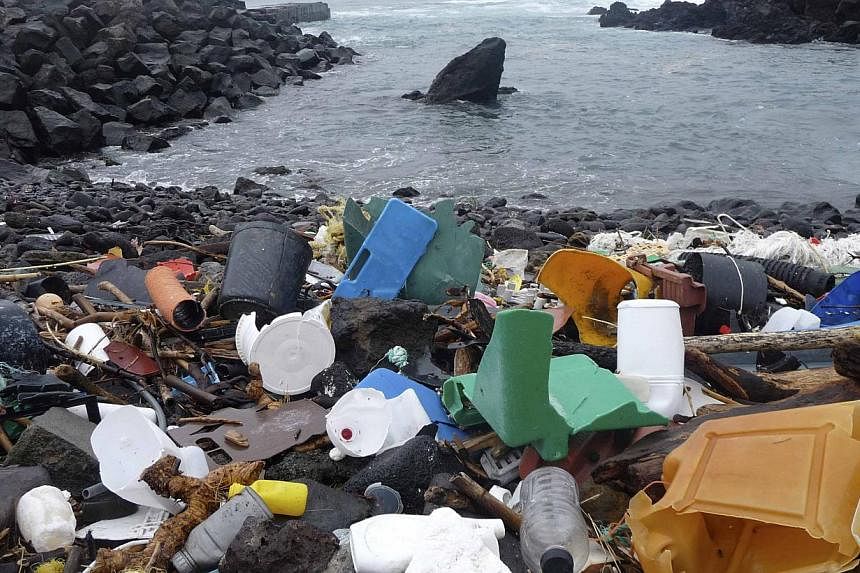 A beach in the Azores is pictured littered with plastic garbage, in this undated handout photo obtained by Reuters on Dec 9, 2014.&nbsp;Shoddy waste management and littering across the globe likely added eight million metric tonnes of plastic to the 