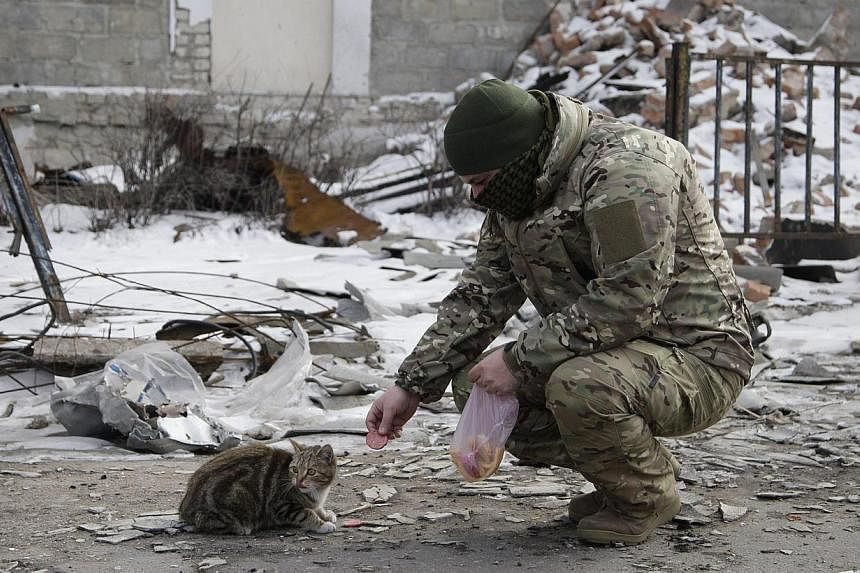 A pro-Russian separatist feeding a cat in front of destroyed buildings in the eastern Ukrainian city of Uglegorsk, near Debaltseve, Ukraine, on Feb 19, 2015. -- PHOTO: EPA