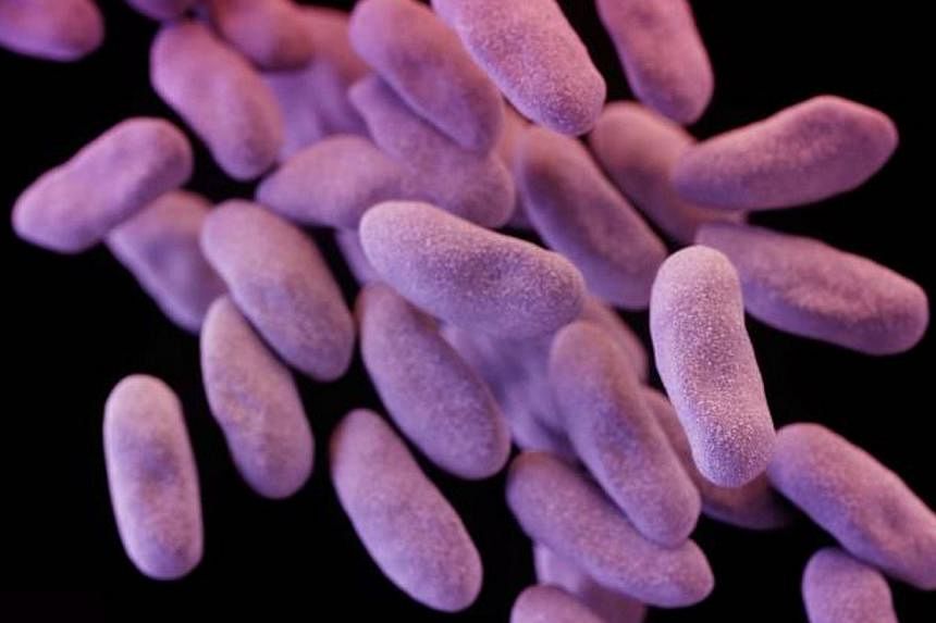 The Ronald Reagan UCLA Health System released a statement late on Wednesday saying at least seven of its patients have been infected with carbapenem-resistant Enterobacteriaceae (above), apparently transmitted to them in the hospital via tainted surg