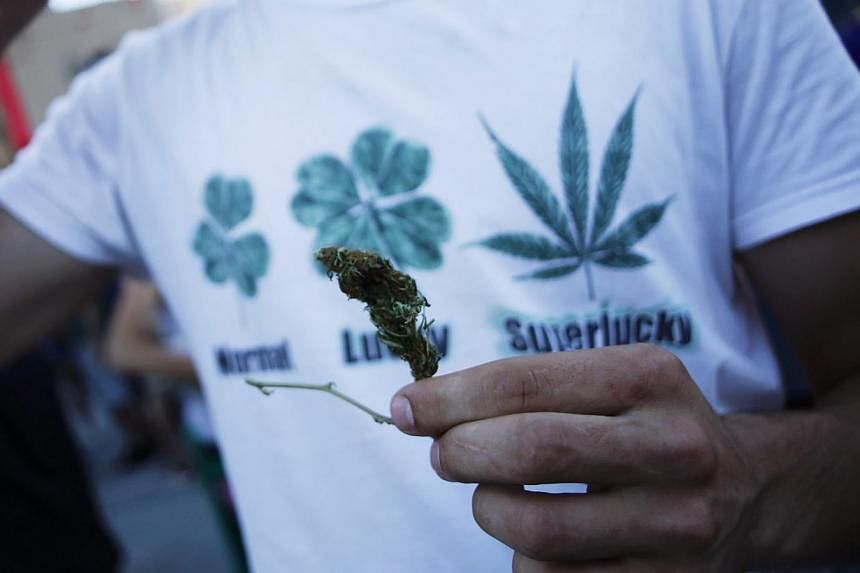 Jamaica, long associated with a vibrant pot-smoking culture, on Tuesday passed a law decriminalising possession of small amounts of the leaf it calls ganja. -- PHOTO: REUTERS