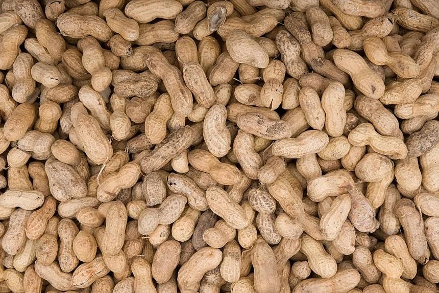 Peanuts are offered for sale at Eastern Market on Capitol Hill in Washington, DC. With peanut allergies on the rise worldwide, a study found that contrary to previous advice, feeding foods containing peanuts to babies before 11 months of age may help
