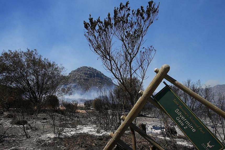 A general view of the smoldering remains of the Silvermine reserve in Cape Town, South Africa on March 2, 2015. -- PHOTO: EPA &nbsp;&nbsp;