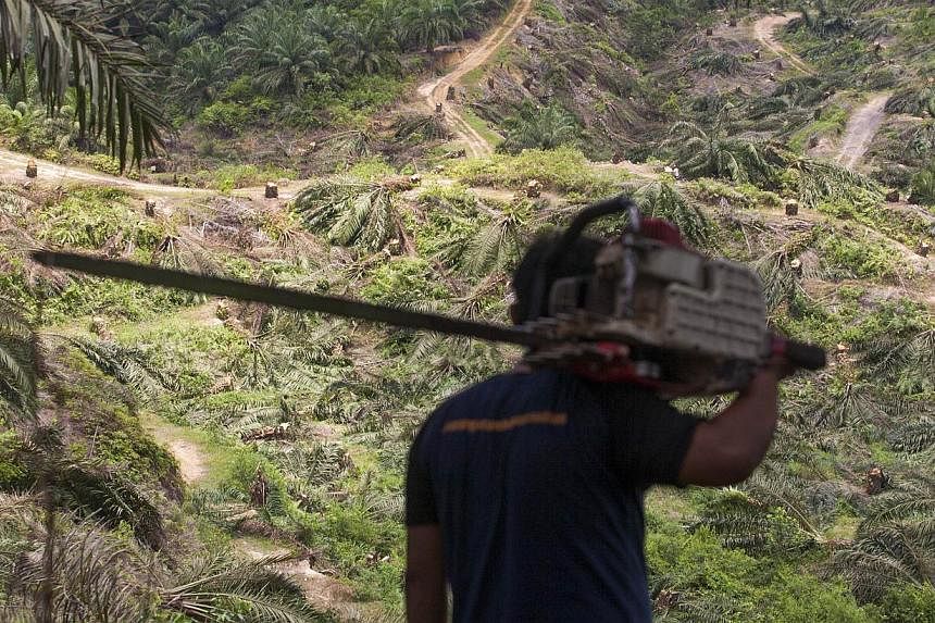 Indonesia is under international pressure to curb deforestation and destruction of carbon-rich peatlands and forests that palm oil and mining companies say they need for expansion. -- PHOTO: AFP