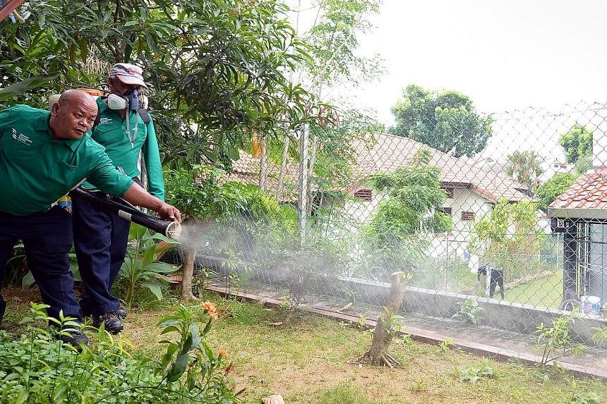 National Environment Agency (NEA) workers spraying insecticide in a garden to kill the larvae of the Aedes mosquito. &nbsp;The NEA has put up a tender for proposals to study the possible side effects of using male Wolbachia-carrying mosquitoes to fig