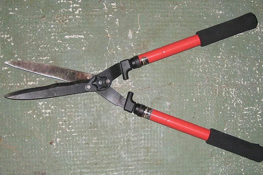 A Chinese woman has been accused of murdering a four-year-old boy and the child's grandmother with garden shears (example pictured) in Melbourne on the morning of Tuesday, March 31, 2015. -- PHOTO: WIKIMEDIA COMMONS&nbsp;