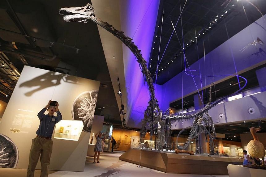 Lee Kong Chian Natural History Museum Opens To The Public | The Straits ...