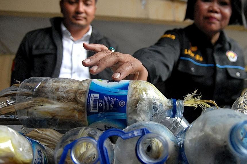 A police officer holds a water bottle which with a yellow-crested cockatoo put inside for illegal trade at the customs office of Tanjung Perak port in Surabaya, East Java province, Indonesia, on May 4, 2015 in this picture taken by Antara Foto. -- PH