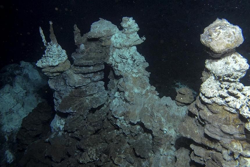 A hydrothermal vent field along the Arctic Mid-Ocean Ridge, close to where 'Loki' was found in marine sediments, is seen in this undated handout image courtesy of the the Centre for Geobiology at University of Bergen, Norway.-- PHOTO: REUTERS