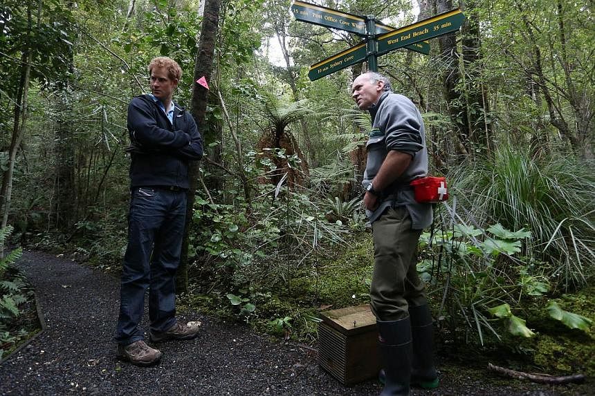 Britain's Prince Harry (left) is shown how traps work by DOC ranger Phred Dobbins at Ulva Island in New Zealand on May 10, 2015. -- PHOTO: AFP