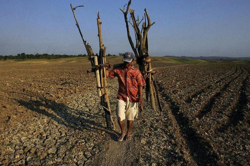 A man walks through a dried-up dam after collecting firewood in Gondang village of East Java province in this Aug 4, 2009 file photograph. -- PHOTO: REUTERS