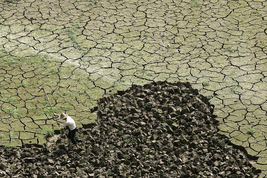 A farmer works on a drought-hit paddy field on the outskirts of Chongqing municipality in this March 24, 2009 file photograph. -- PHOTO: REUTERS
