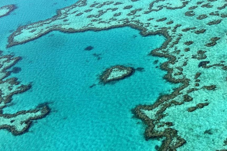 An aerial view of the Great Barrier Reef off the coast of the Whitsunday Islands, along the central coast of Queensland. -- PHOTO: AFP