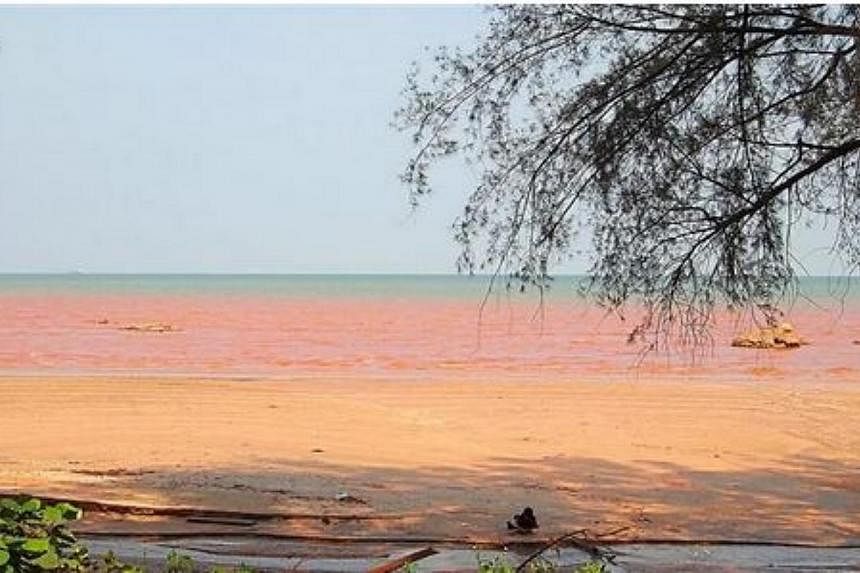 The sea near Kuantan Port turning red. -- PHOTO: THE STAR/ASIA NEWS NETWORK