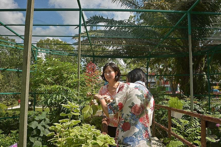 MP Irene Ng (left) together with Ms Phyllis Tng, 58, (right) a volunteer of the Tampines Changkat Butterfly Interest Group at the Tampines Changkat Butterfly Garden located at the at Tampines Street 11.&nbsp;&nbsp;-- ST PHOTO:&nbsp;KUA CHEE SIONG