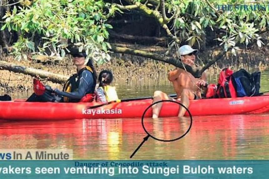 A couple with a young child was spotted kayaking at the Sungei Buloh Wetland Reserve by a nature photographer.
