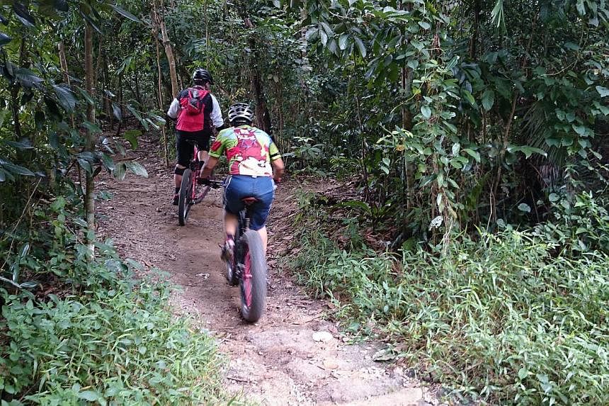 Mountain bikers have been riding on the 3km-long Butterfly trail for years. But the trail, which is located off Chestnut Avenue in the Central Catchment Nature Reserve, is likely to be closed permanently because of the construction of Chestnut Nature