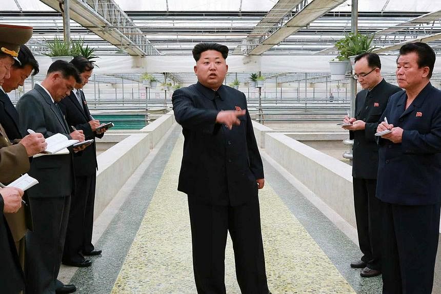 A large photo on the front page of the ruling party's official newspaper, the Rodong Sinmun, showed a clearly irate Mr Kim wagging an admonishing finger at a group of officials in a building housing terrapin breeding tanks. -- PHOTO: EPA&nbsp;