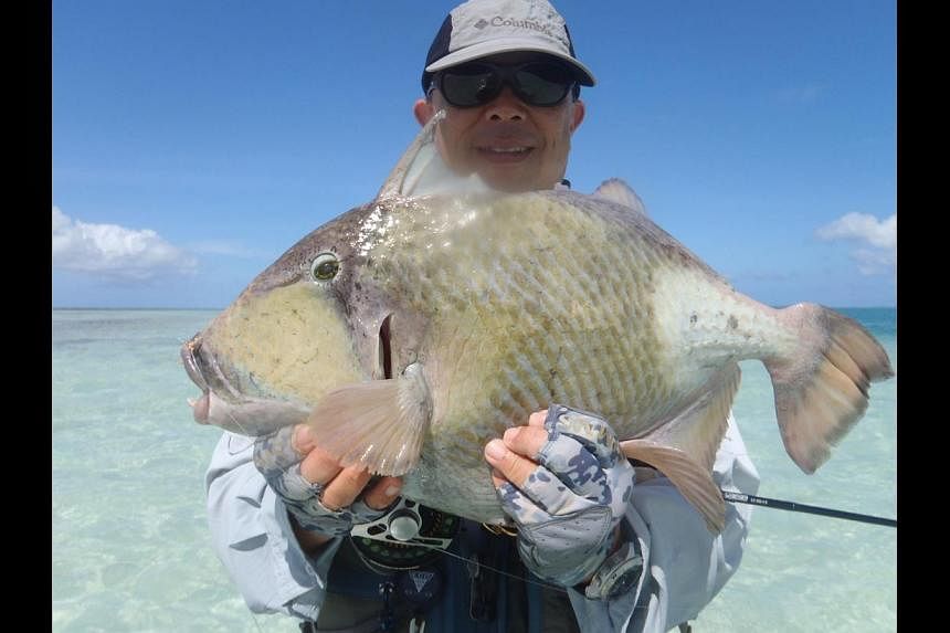 Mr Pang Kim Lock shows off a 5.3kg titan triggerfish caught on Christmas Island last November. It weighed more than twice the previous record. Mr Pang also caught a 5.61kg yellowmargin triggerfish.