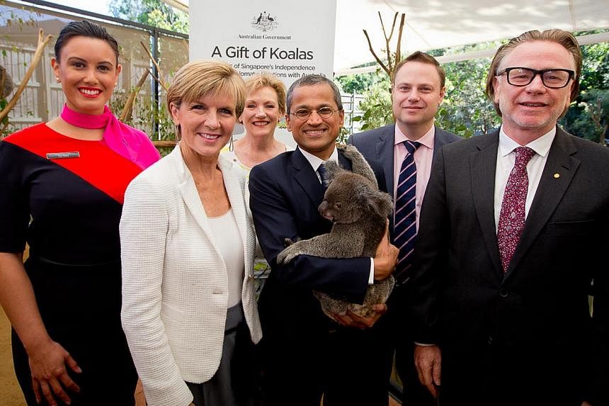 Australian Foreign Minister Julie Bishop (left, in white top) and Singapore’s High Commissioner to Australia Burhan Gafoor (carrying a koala), with Australian officials at the Lone Pine Koala Sanctuary in Brisbane last month. Four koalas are in Sin