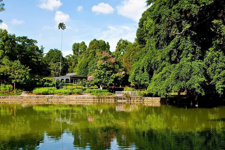 Watch local movie Home Run at Swan Lake at Singapore Botanic Gardens. -- PHOTO: NATIONAL PARKS BOARD