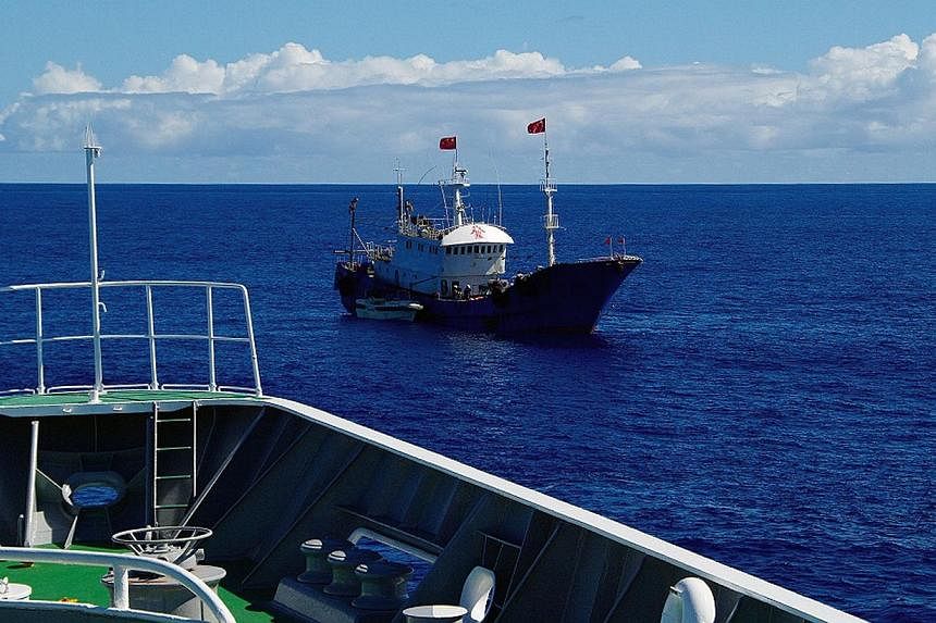 A Japanese court on Wednesday jailed a Chinese skipper for coral poaching in what was reportedly the first such punishment since the coastguard began reporting waves of illegal boats. -- PHOTO: AFP