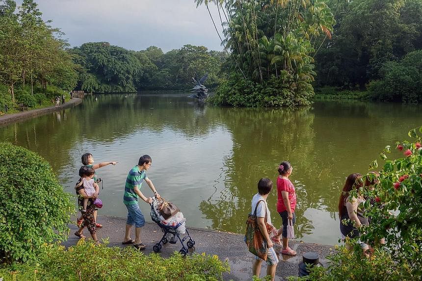 A nature area within the Singapore Botanic Gardens will be more than tripled in size to 20ha. -- PHOTO: ST FILE&nbsp;