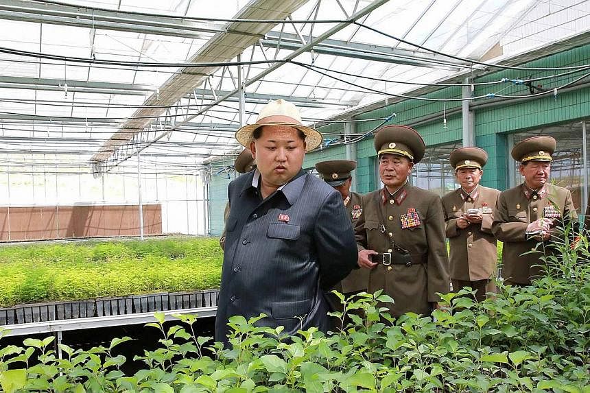 This undated photo released by North Korea's official Korean Central News Agency (KCNA) on May 30, 2015 shows North Korean leader Kim Jong-Un (centre) visiting the general tree nursery under construction by the Korean People's Army.&nbsp;&nbsp;North 
