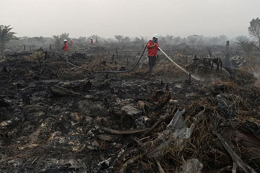 Firefighters employed by Asia Pacific Resources International Holdings Ltd. (April) hose down burnt-off vegetation from forest fires during a media tour of firefighting operations in Riau province in Pelalawan, Riau, Indonesia, on Wednesday, March 5,