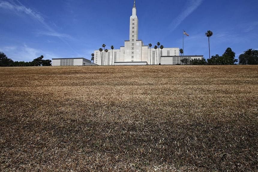 The Church of Jesus Christ of Latter-day Saints Mormon temple is seen with a brown lawn, which church officials have not watered because of the drought, in Los Angeles, California. -- PHOTO: REUTERS