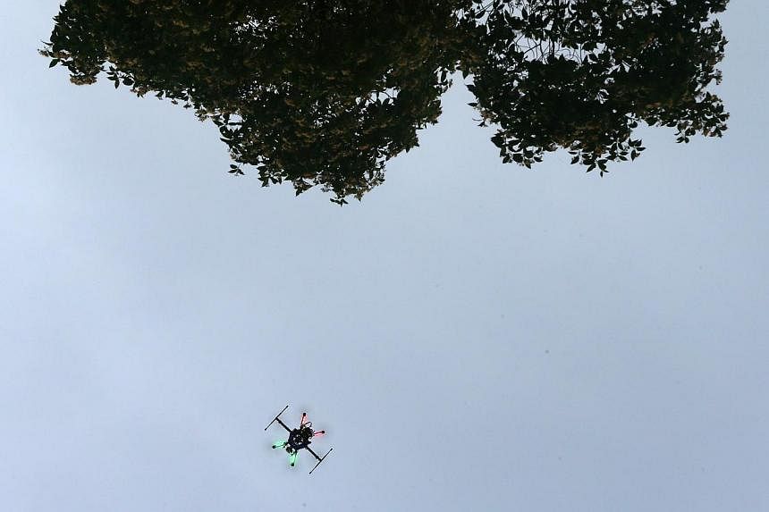 A drone in operation at the Singapore Botanic Gardens on May 31, 2015. A small drone flew within a few hundred feet of a Southwest Airlines flight on Friday as the passenger plane was about to land at the Dallas airport. -- PHOTO: ST FILE
