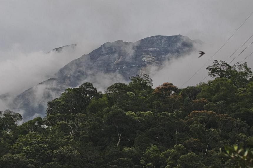 Two Canadians were prevented from leaving Malaysia after they were identified as being part of a group of tourists who stripped to pose for photos atop Sabah's Mount Kinabalu, where a deadly earthquake struck on Friday. -- PHOTO: EPA